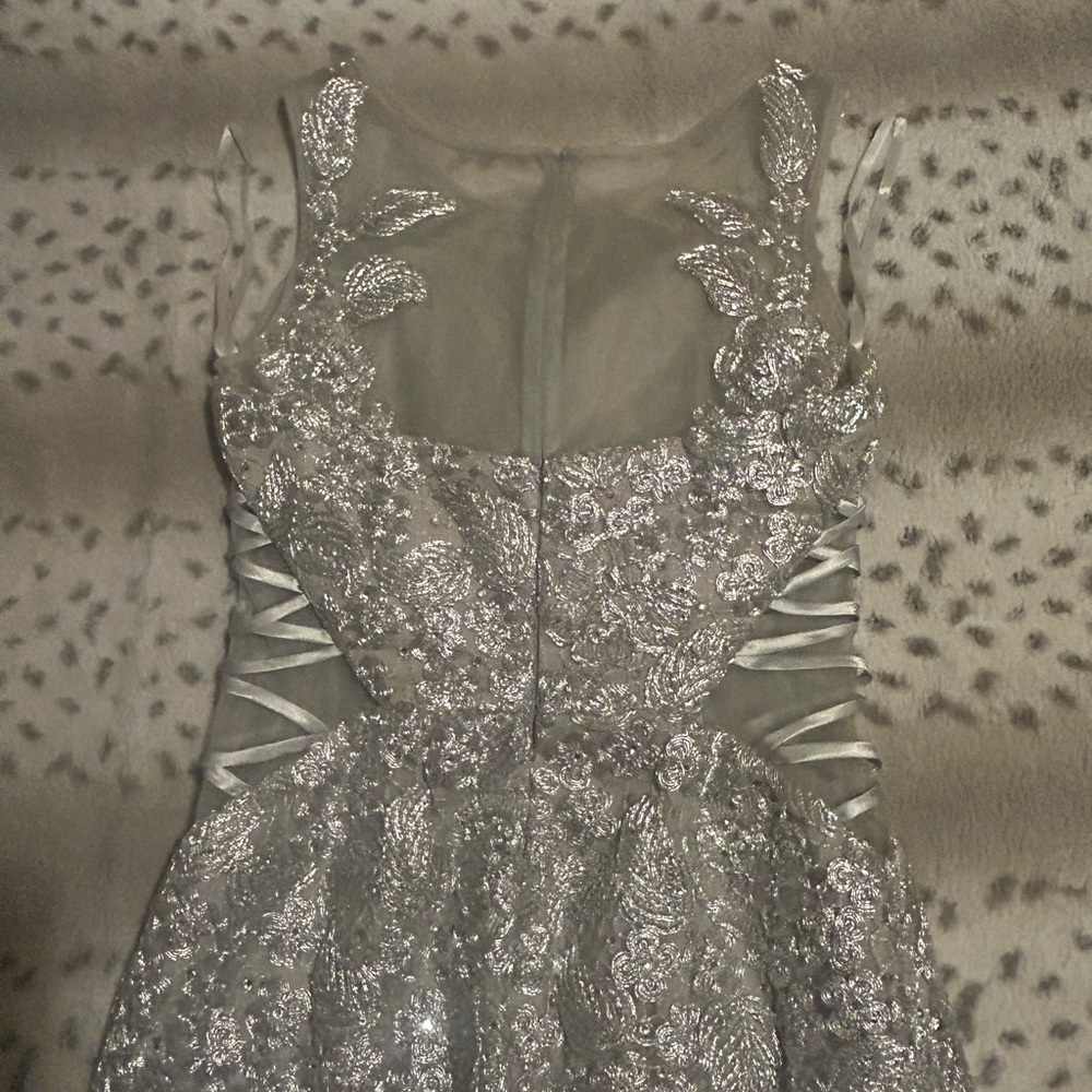 Silver Lace and Tulle Dress - Picture 4 of 5